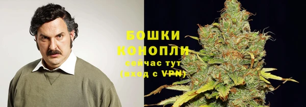 apvp Елабуга