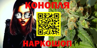 прущие крисы Краснодар