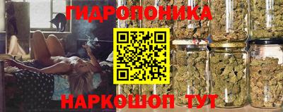 прущие крисы Краснодар