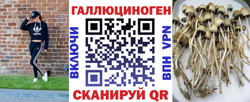 наркошоп  кракен как войти  Галлюциногенные грибы GOLDEN TEACHER  Сосновоборск 