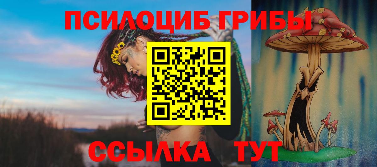 Сосновоборск  Псилоцибиновые грибы MAGIC MUSHROOMS  Псилоцибиновые грибы Psilocybine cubensis  Вход с VPN 
