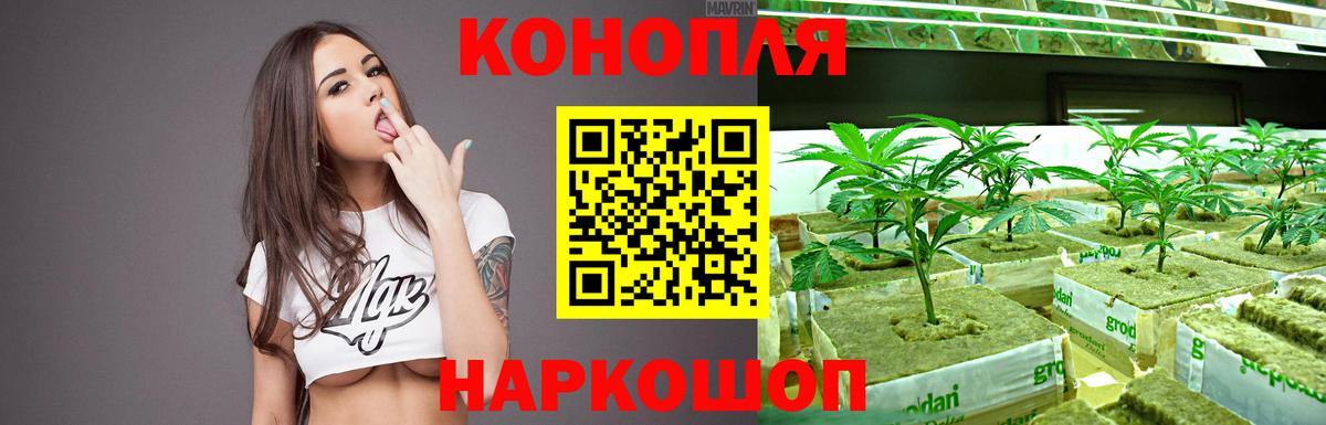 Сосновоборск  Шишки марихуана Ganja  Канабис AK-47  Марихуана Amnesia  Вход с VPN 
